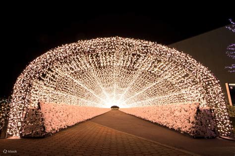 Tokyo Mega Illumination at Oi Racecourse 2023~2024.